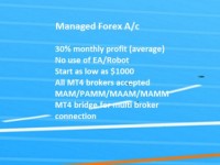Forex Trading Portfolio (click on pic to sharpen)
